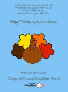 Volunteer Thanksgiving